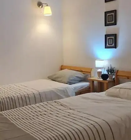 Apartament Principe Real 47 *